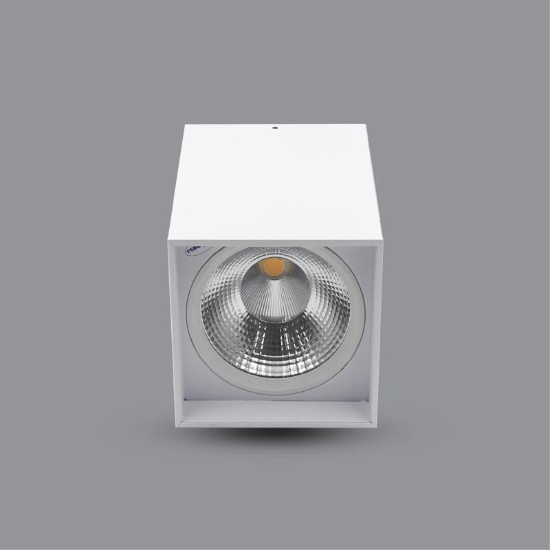 ĐÈN LED DOWNLIGHT 10W GẮN NỔI PSDLL136L10