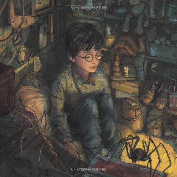 Sách Harry Potter: A Journey Through A History of Magic (English Book)