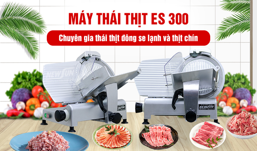 Máy Thái Thịt Đông Lạnh NEWSUN ES-300 - Hàng Chính Hãng