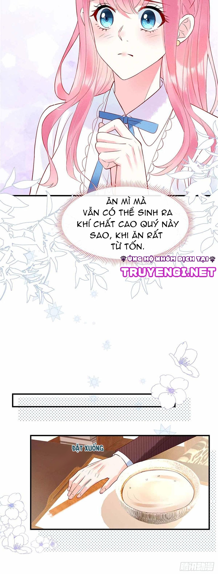 Cô Thỏ Của Chủ Tịch Sói Chapter 5 - Next Chapter 6