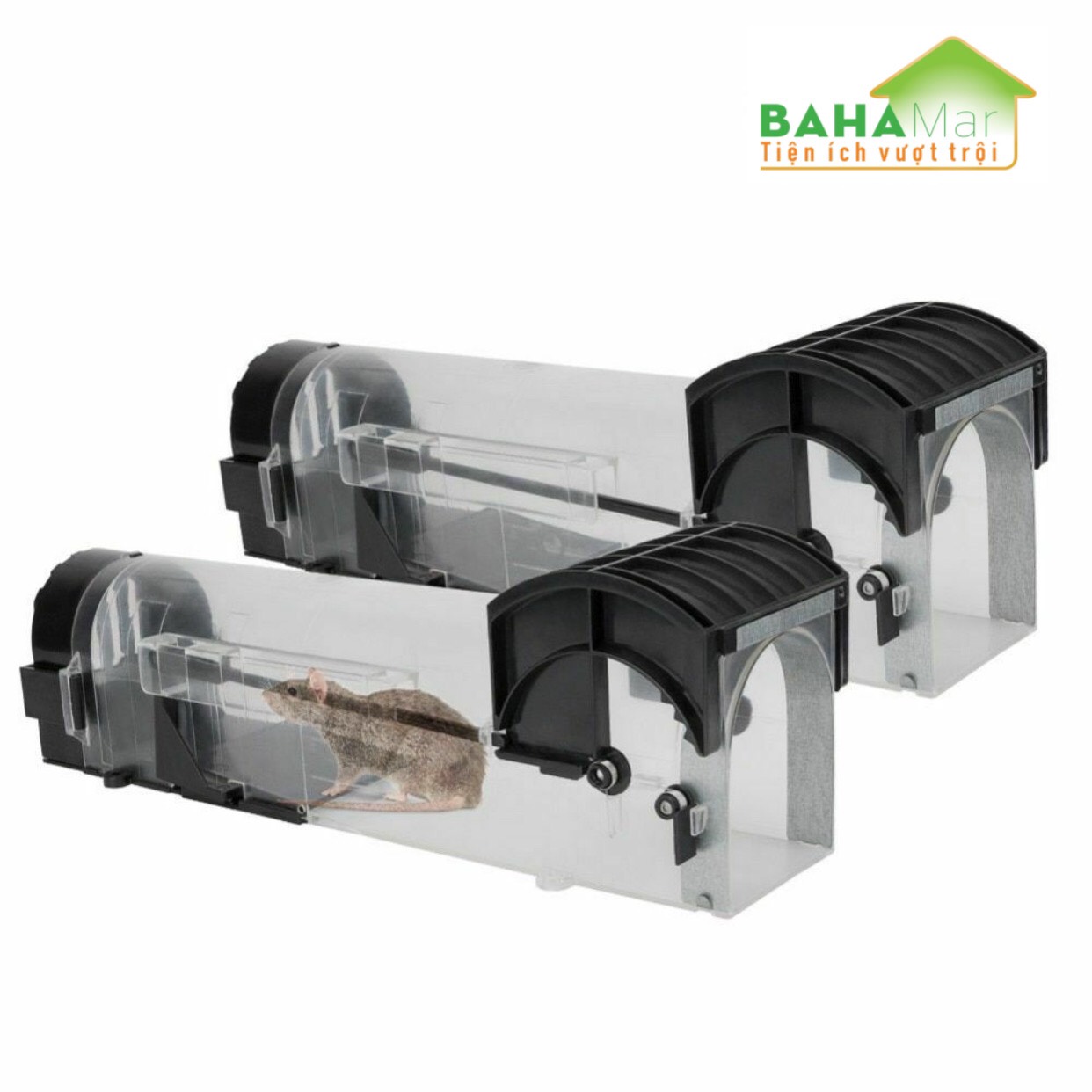 BẪY CHUỘT THÔNG MINH NHÂN ĐẠO TỰ ĐỘNG KHÓA "BAHAMAR" dụ chuột vào và khóa lại để chuột không thoát ra được và yếu dần