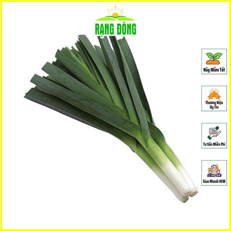 Hạt giống Tỏi Tây (Hành Boaro) Trồng Quanh Năm, Kháng Bệnh Tốt (gói 1 gram) - Hạt Giống Rạng Đông