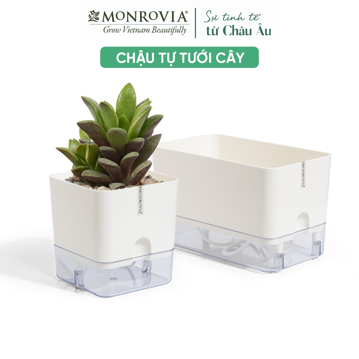 Chậu trồng cây tự tưới để bàn MONROVIA, trang trí văn phòng, trong nhà, thiết kế thông minh, Tiêu chuẩn Châu Âu