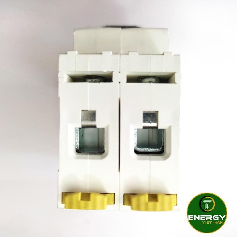 Aptomat MCB AC 2P 32A, 63A 6KA - 100A 10KA ENERGY - Thiết Bị Điện - 2P 100A ENERGY