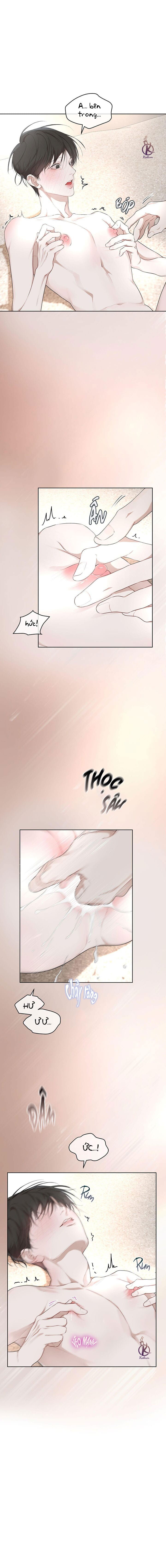 hình thái khởi sinh chapter 66 9