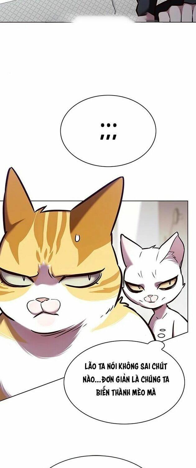 biến thân thành mèo chapter 196 13