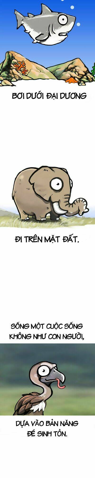 earth, human, and animal chapter 0 3