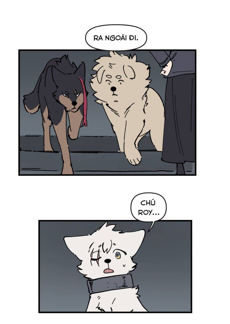 lumine - cội nguồn ánh sáng chapter 149 15