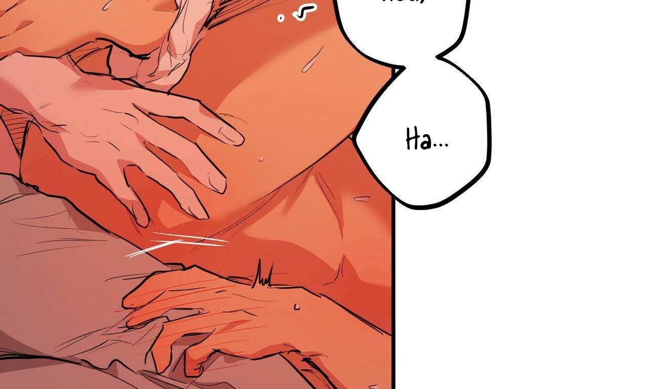 đàn thỏ của habibi chapter 25 186