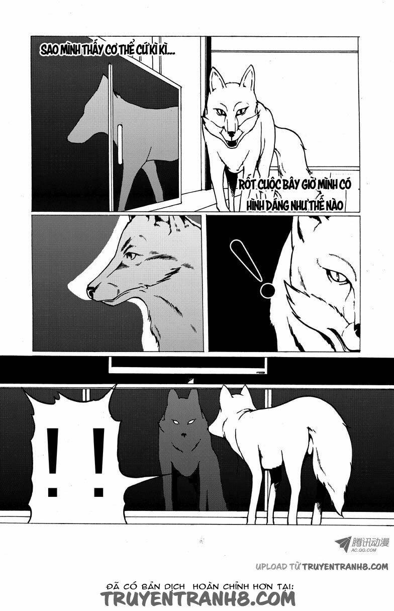 nhân quả tuần hoàn chapter 16.2 6