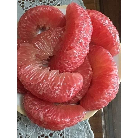 Cây Giống Bưởi Đỏ Tân Lạc
