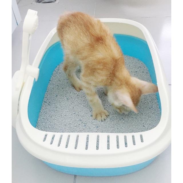 Chậu đi vệ sinh - đựng cát dành cho mèo