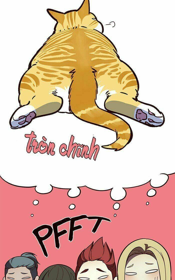 biến thân thành mèo chapter 81 92