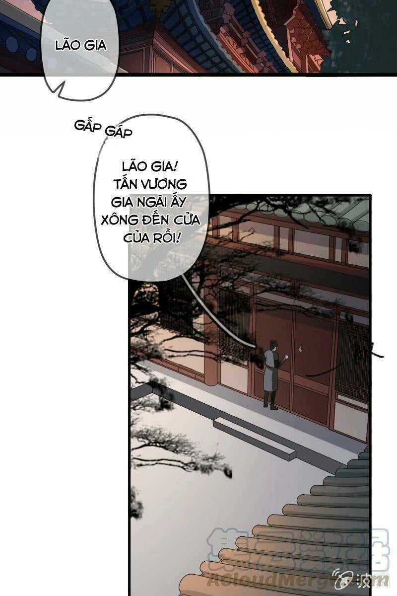 sủng phi của vương chapter 173 19