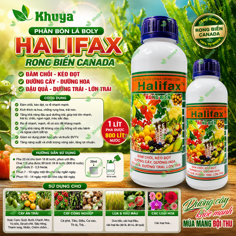 Phân bón lá NPK hữu cơ Boly Halifax Rong Biển Canada Đâm Chồi - Kéo Đọt