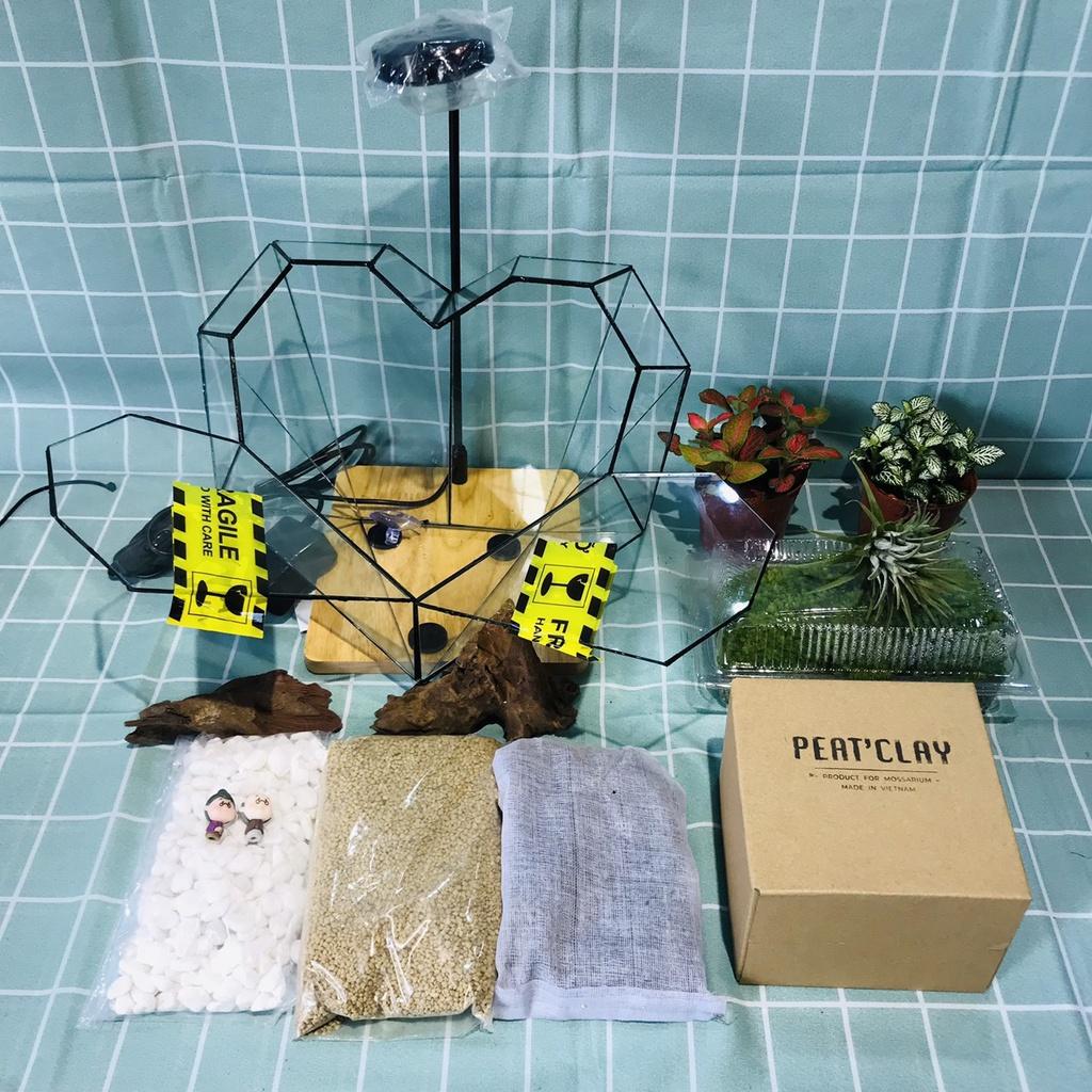 COMBO TỰ SET TERRARIUM-TRÁI TIM VALENTINE -VƯỜN NHIỆT ĐỚI