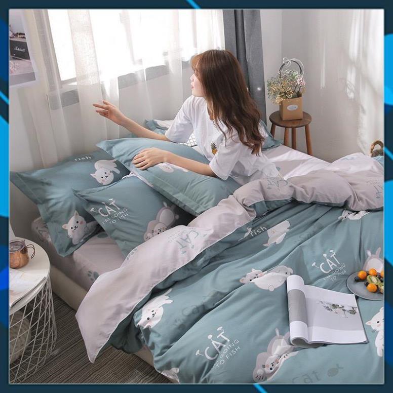 Bộ chăn ga gối Cotton Poly bedding Mèo lười, vỏ chăn mền, drap giường và 2 vỏ gối