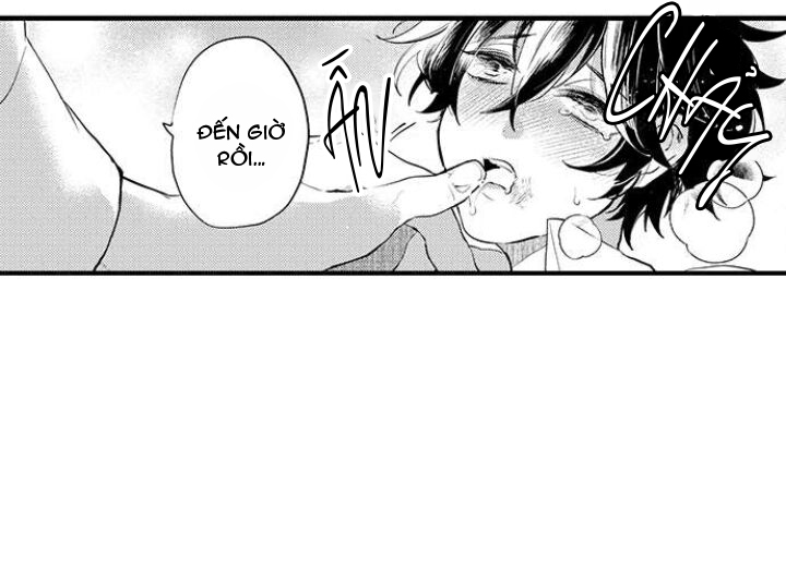 tiếng gọi của tình yêu sau trải nghiệm cận tử chapter 10 29