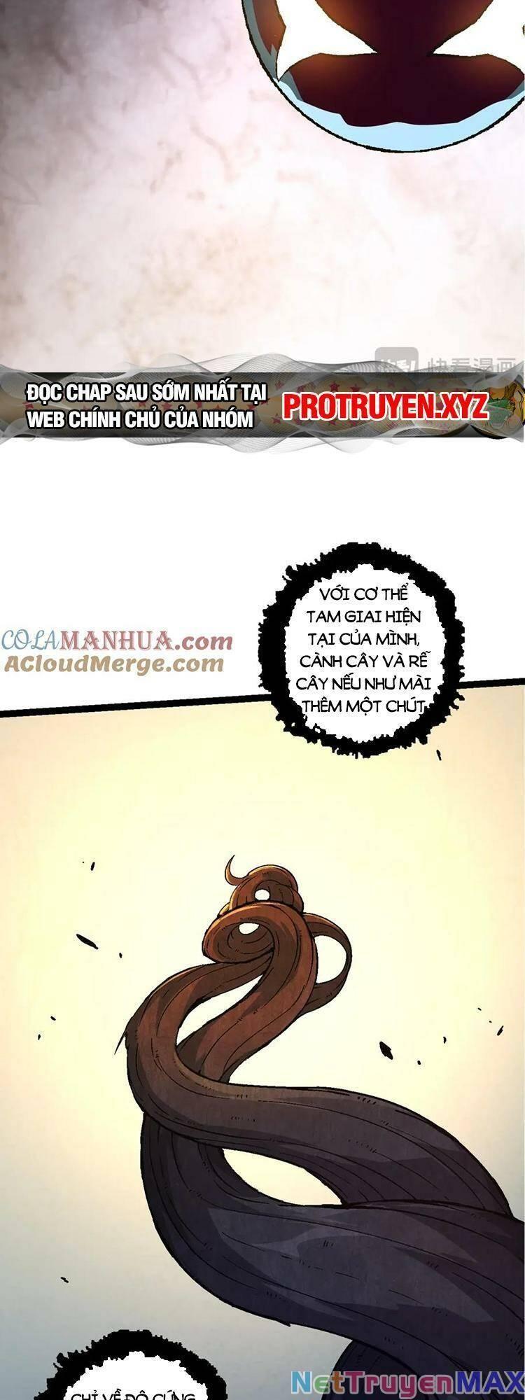 chuyển sinh thành liễu đột biến chapter 90 25