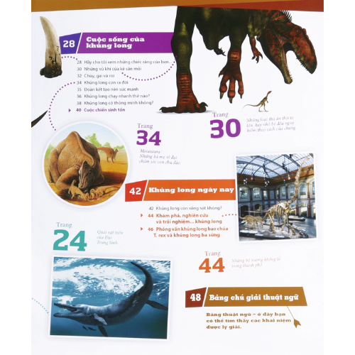 Sách Thế Nào Và Tại Sao - Khủng Long - Trong Đế Chế Của Các Loại Bò Sát Cổ