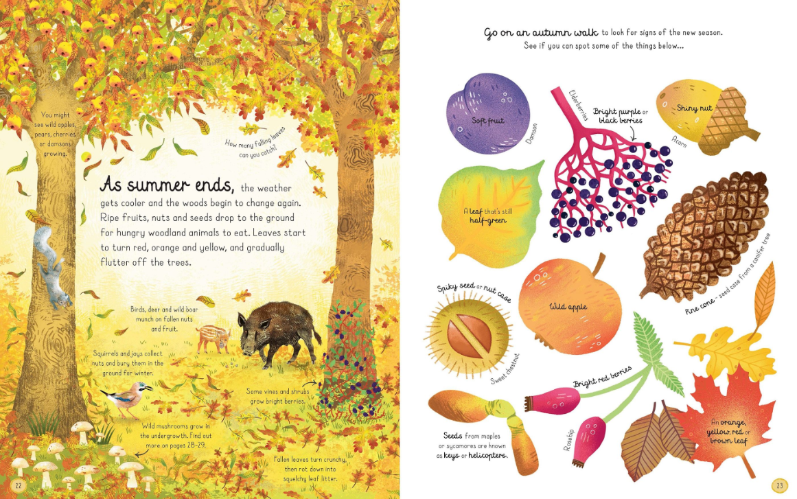 Sách ngoại văn: The Woodland Book