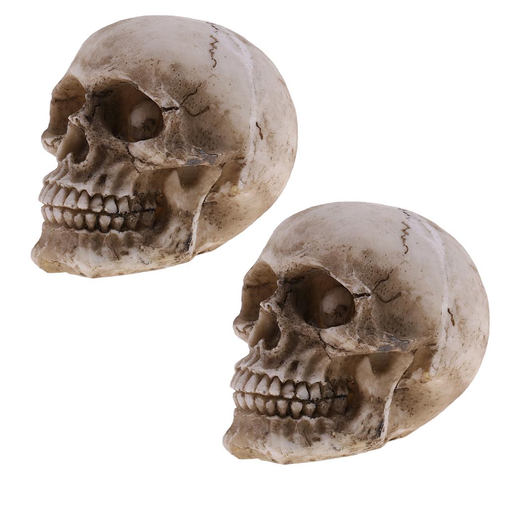 Mô Hình Nhựa Sọ Người Size Nhỏ Halloween Đầu Lâu In Hình Hoa Lá Cho Trẻ Em Quà Tặng