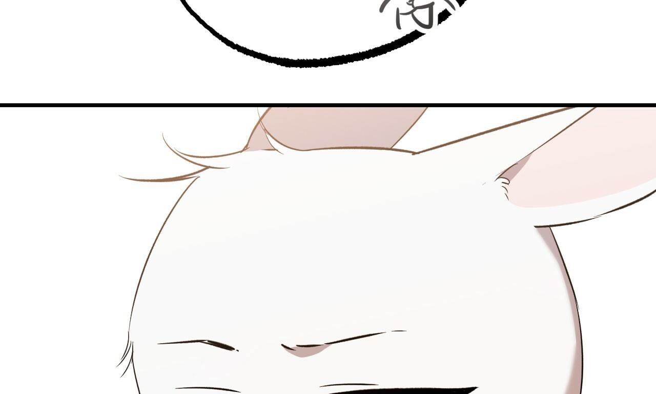 đàn thỏ của habibi chapter 56 268