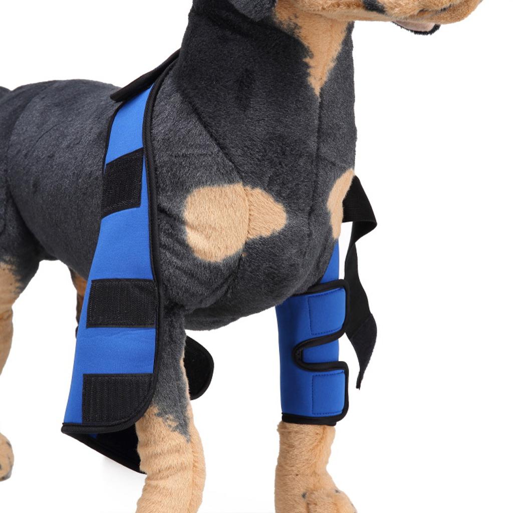 Dog Leg Brace Knee Leg Joint Protector Support Prevents Injuries and Sprains