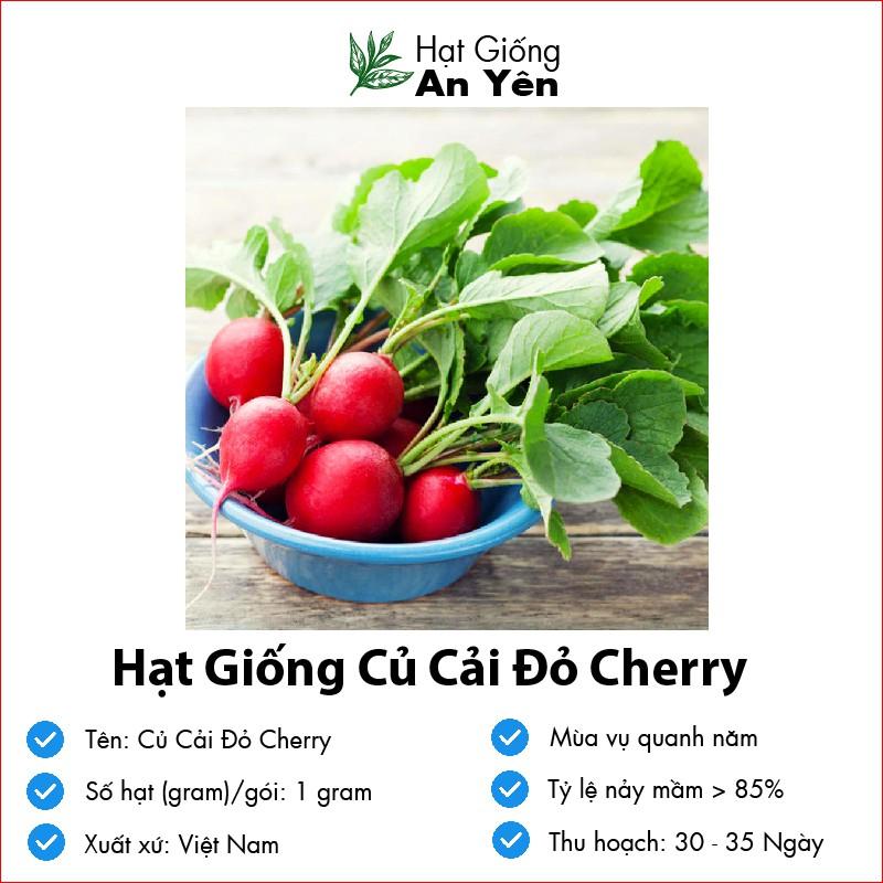 Hạt giống Củ Cải Đỏ Cherry thu hoạch sớm, dễ trồng, nảy mầm cao, sinh trưởng khoẻ
