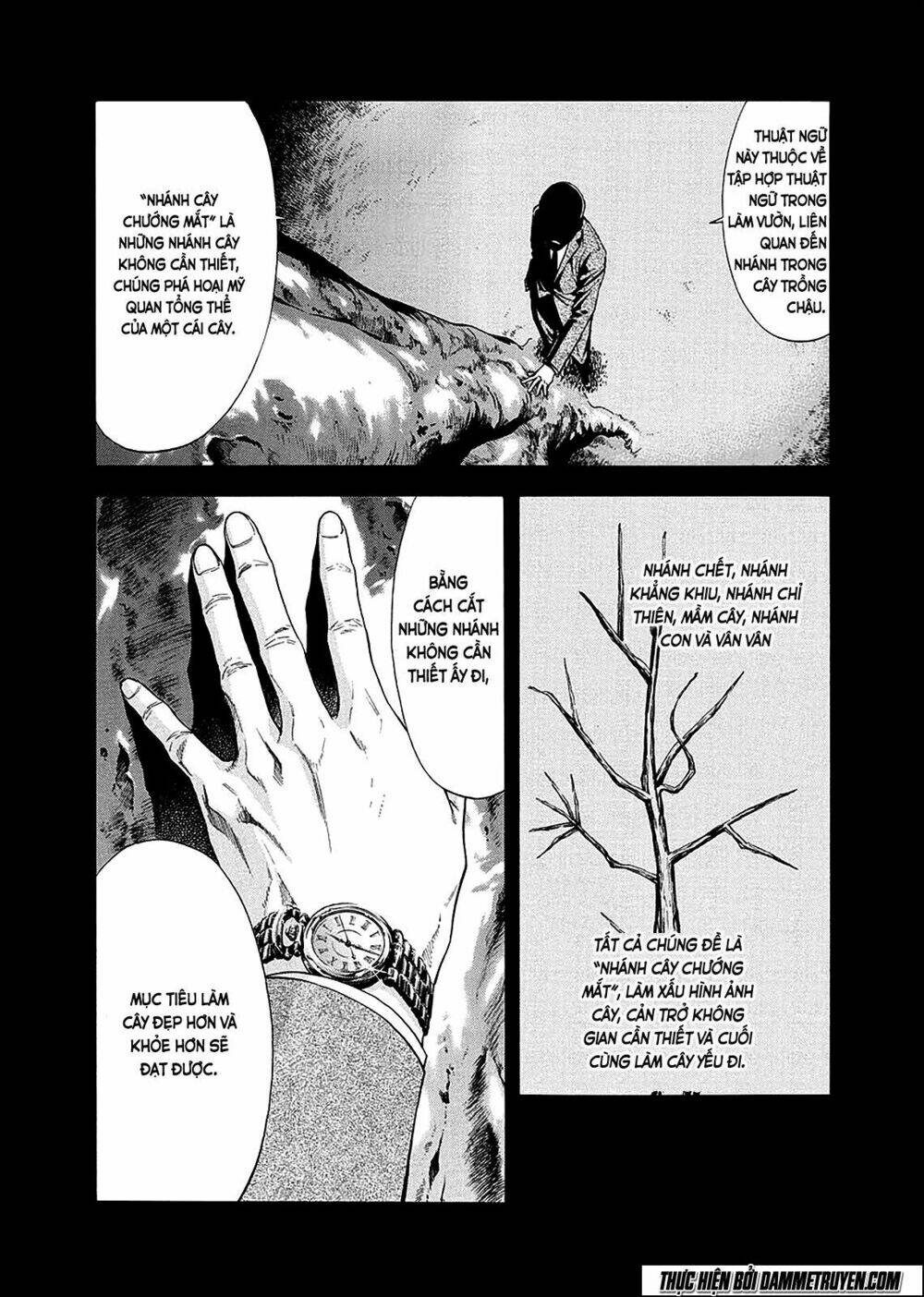 công lý và bóng tối chapter 77 16