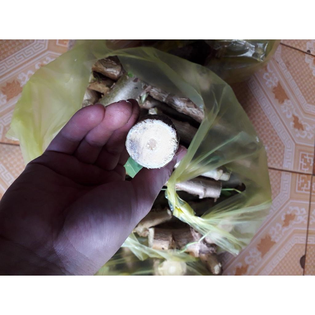 100 HOM GIỐNG KHOAI MÌ RUỘT VÀNG DẺO THÁI LAN.