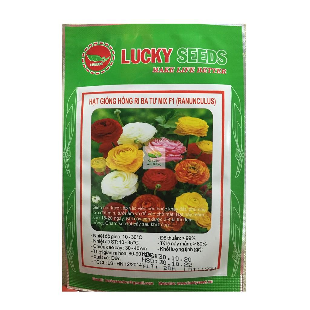 Hạt giống hoa hồng ri ba tư mix 20 hạt