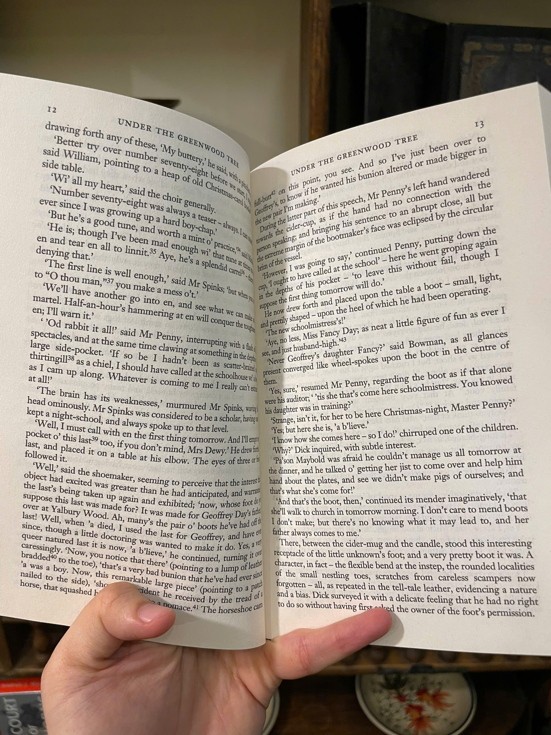 Sách - Under the Greenwood Tree (Wordsworth Classics) by Thomas Hardy | English Romance Book