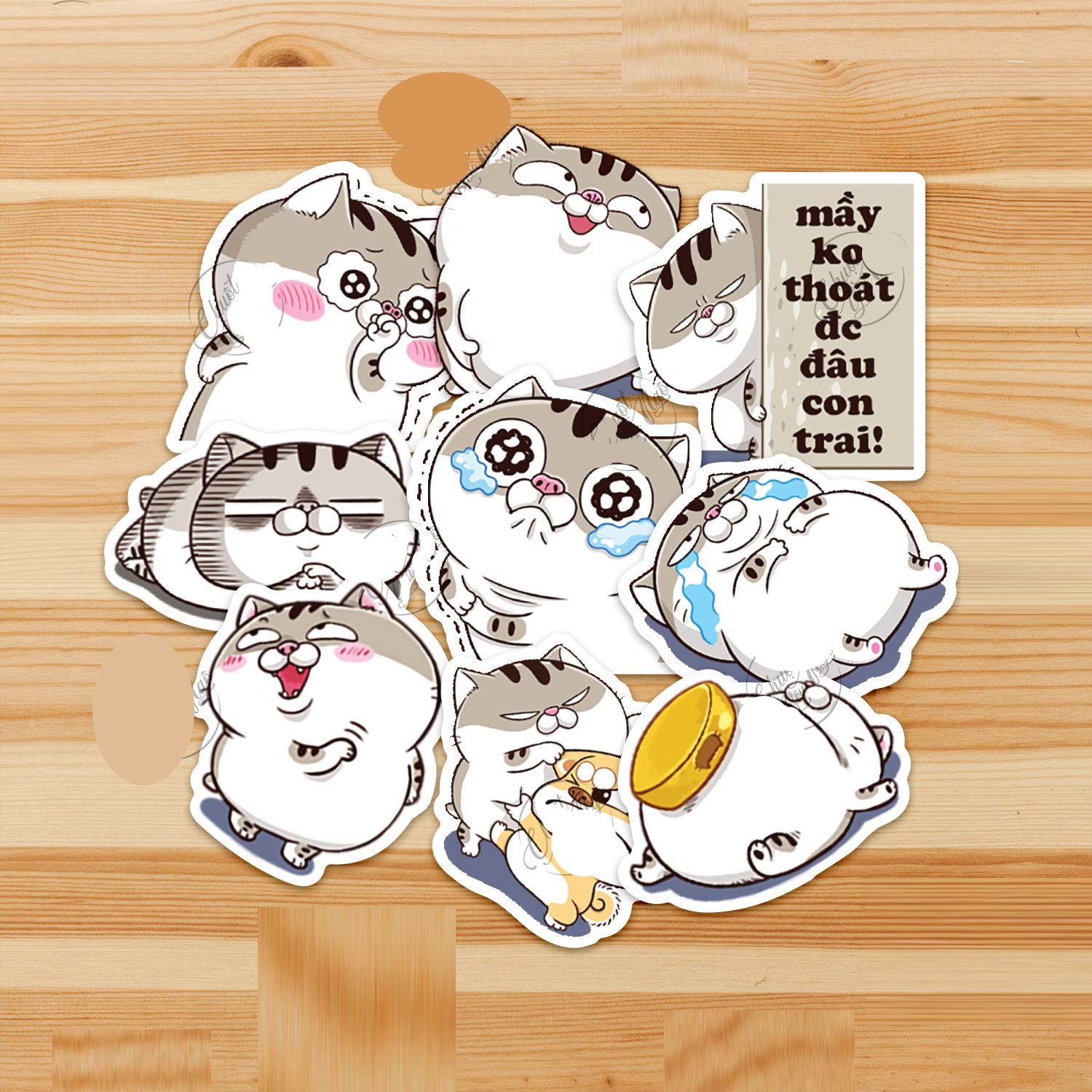 Set 60 Sticker Mèo Ami Mập Bụng Bự ảnh decal hình dán ép lụa