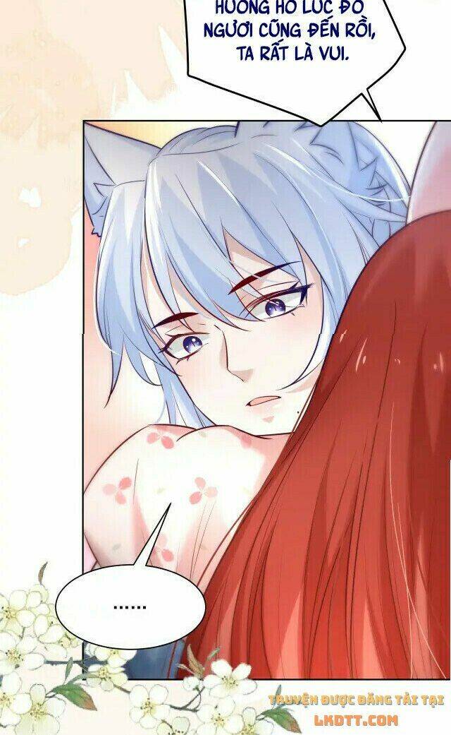 hắc hóa nam chính trực tuyến nuôi thỏ chapter 43 29