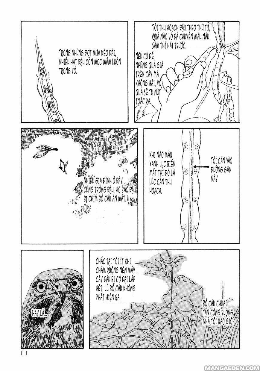 little forest chapter 18 5