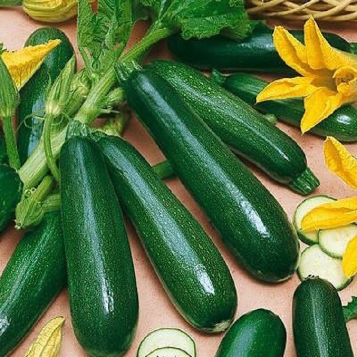 HẠT GIỐNG BÍ NGỒI XANH 10 HẠT - BÍ TO ĐẸP DỄ TRỒNG