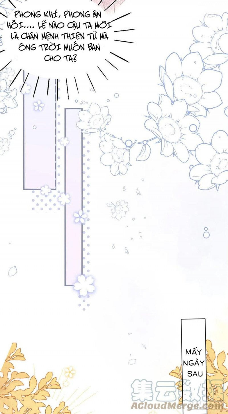 đoàn sủng lão đại ba tuổi rưỡi chapter 164 12
