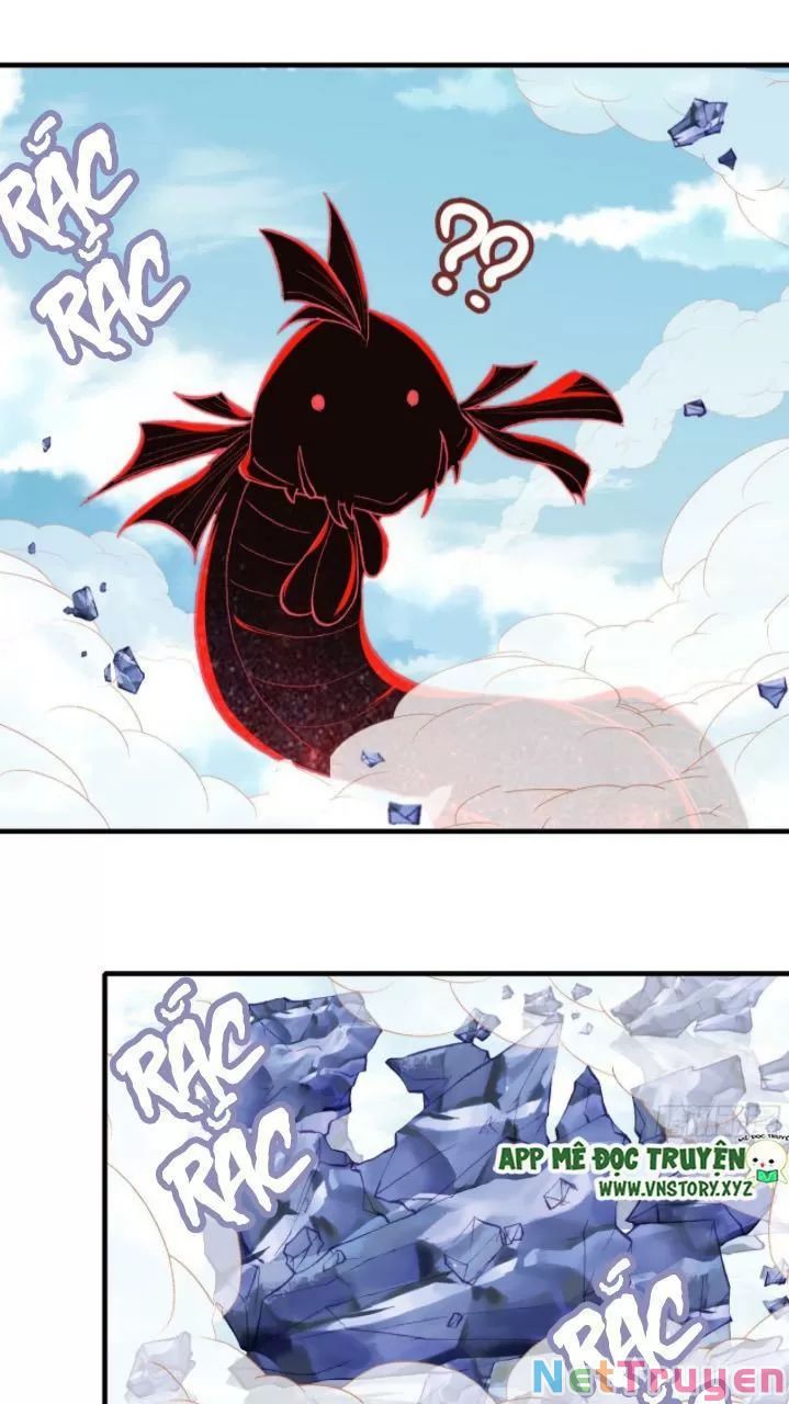 lại bị bệnh chiều chuộng quấn lấy chapter 23 53