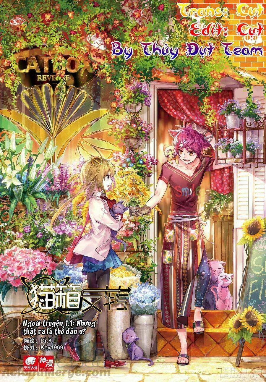 miêu tương phản chuyển chapter 13.1 4