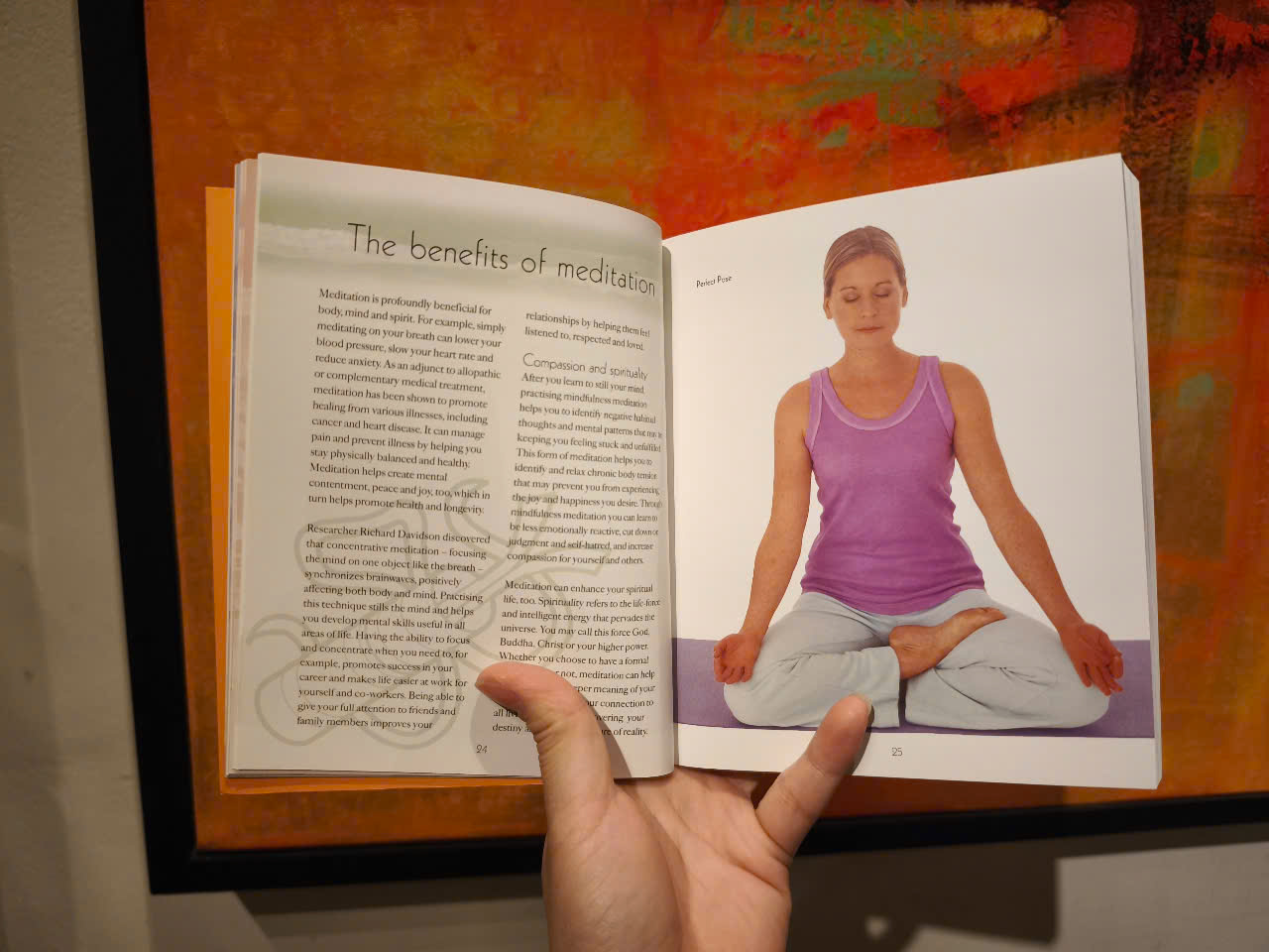 Sách - The Meditation Experience: Your Complete Meditation Workshop by Madonna Gauding