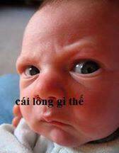 just troll chapter 7 36