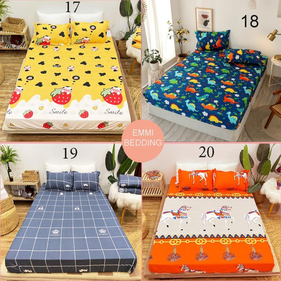 Bộ ga gối cotton poly