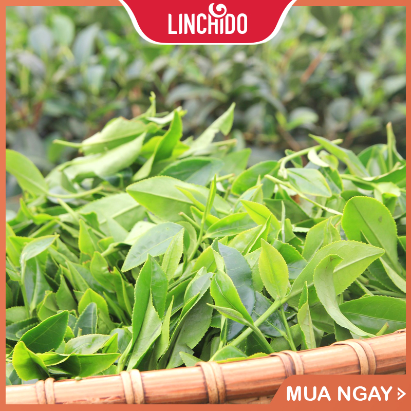 Trà Oolong Kim Tuyên Hộp Giấy 200g - Trà Ô long Trí Việt