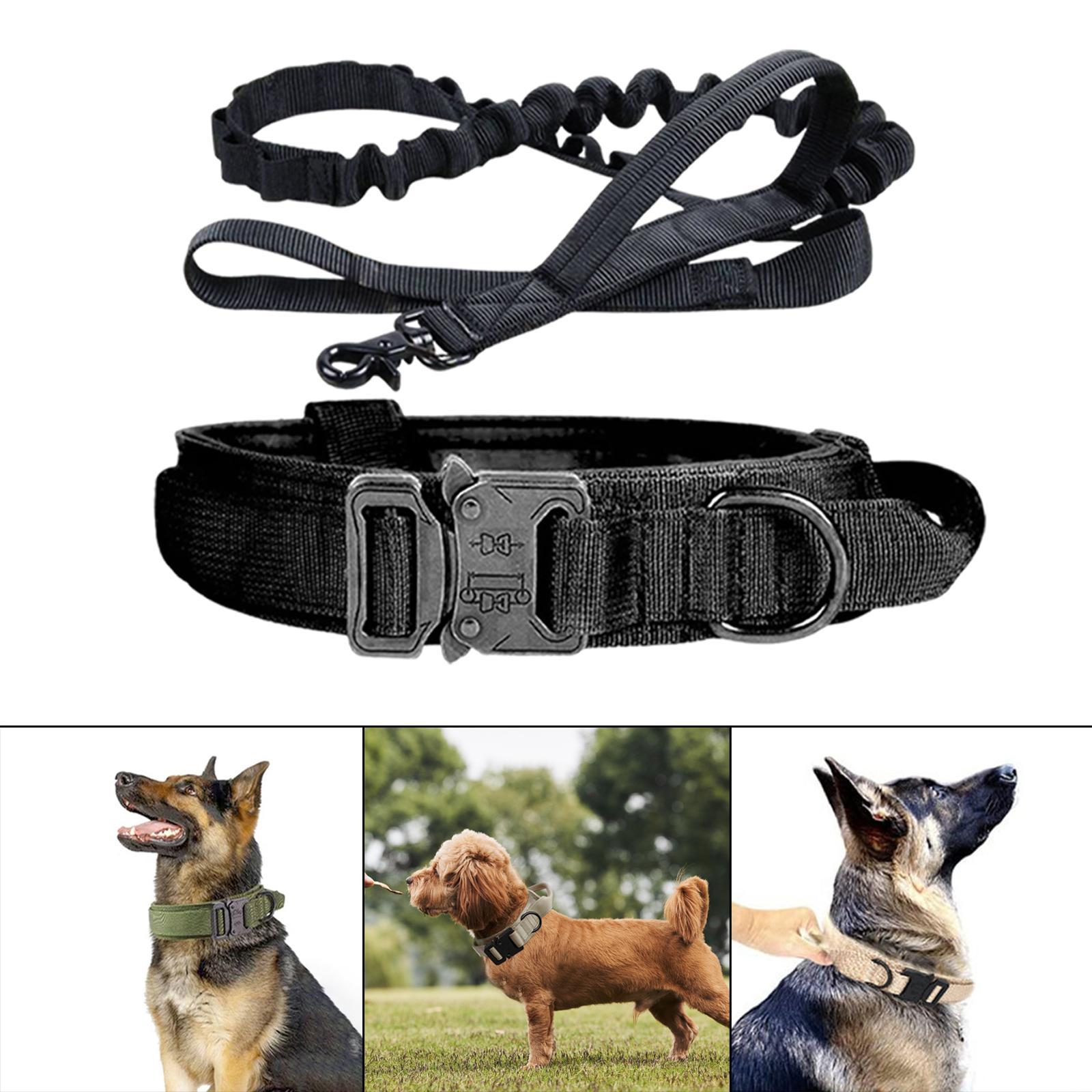 And Leash Set with Handle w/ Metal Buckle Adjustable