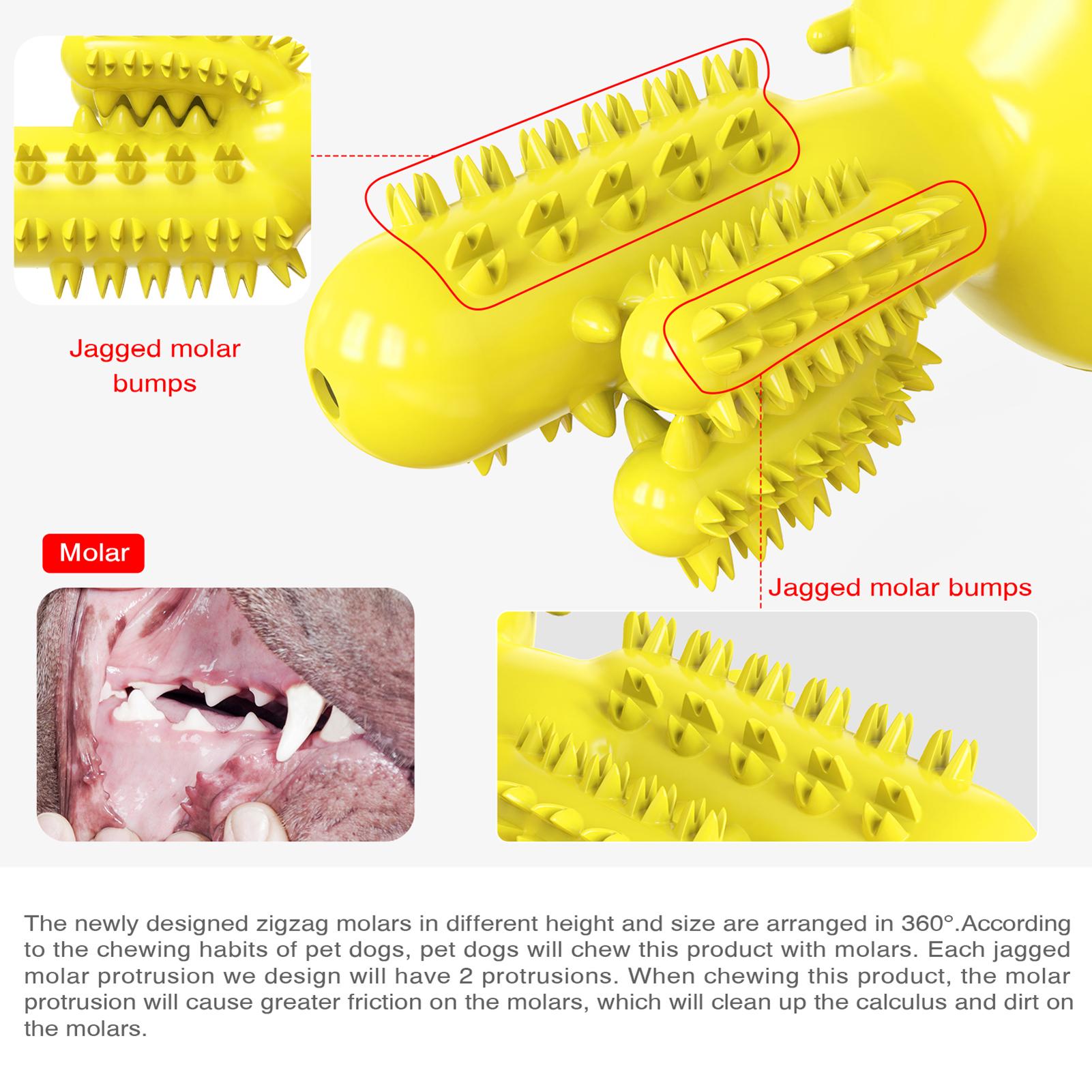 Đồ chơi cho thú cưng