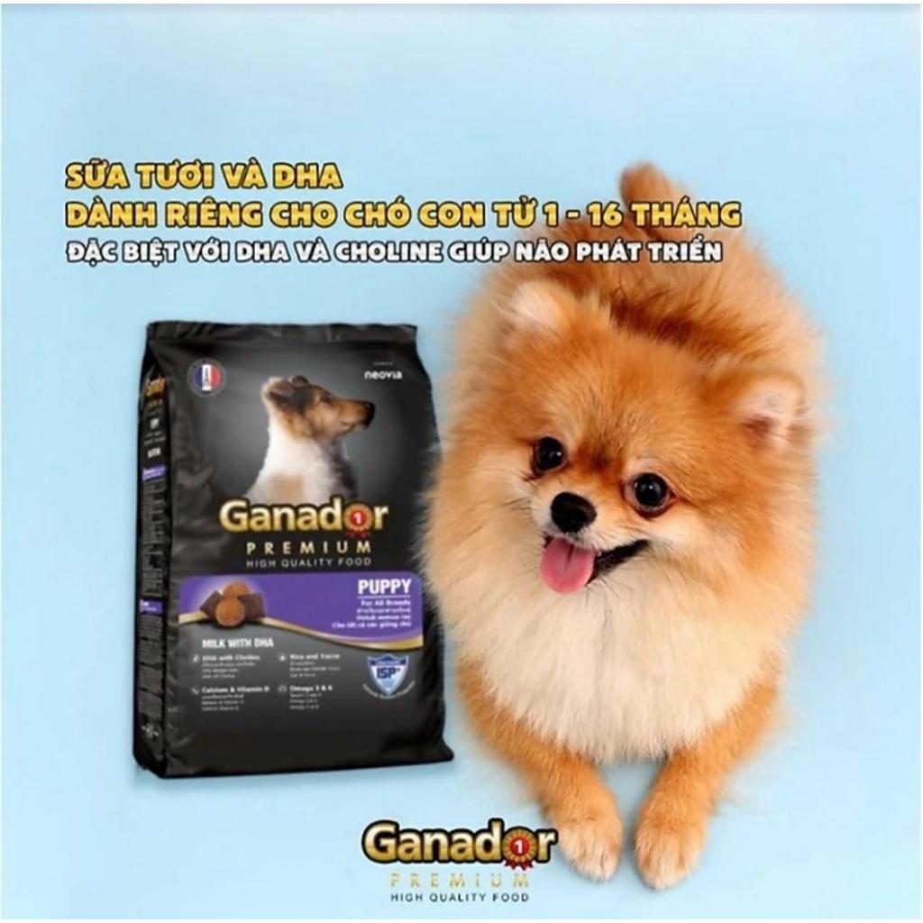 Thức ăn Ganador cho chó con vị Sữa và DHA - Puppy Milk with DHA bao xá 10kg