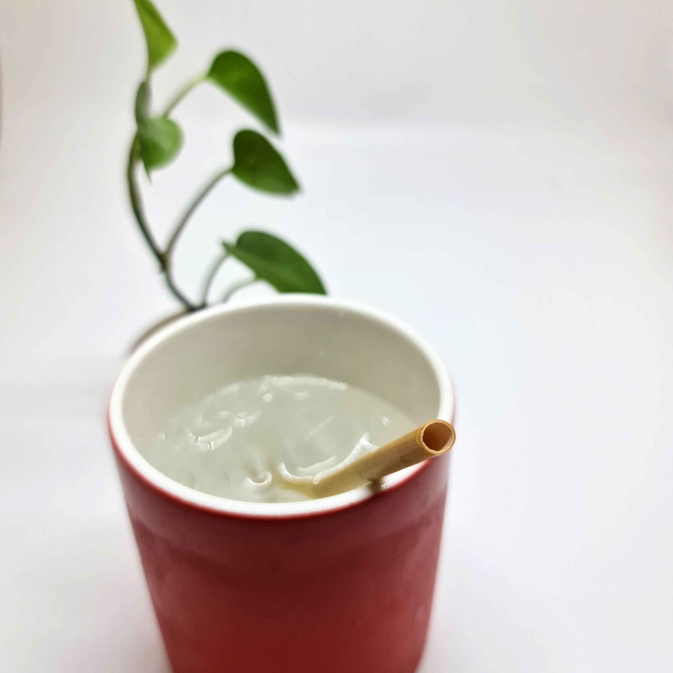 100 Ống Hút Cỏ Dài 15 cm - Không Tan, Biến Dạng Trong Nước - Dùng Được Cho Tất Cả Các Loại Thức Uống