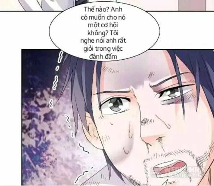 1 nửa hoàn hảo của ceo chapter 19 2