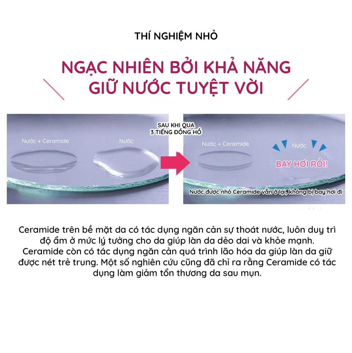 Combo 10 hộp thạch collagen jelly ceramide plus 30 thanh